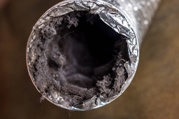 Best Emergency Air Duct Cleaning  in Roberta, GA